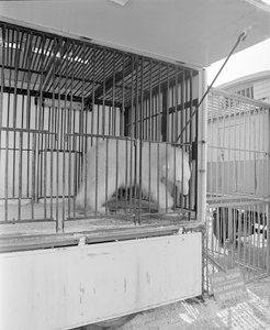 882796 Afbeelding van een kooi met een ijsbeer van Circus Krone op het terrein aan de Weg der Verenigde Naties te ...